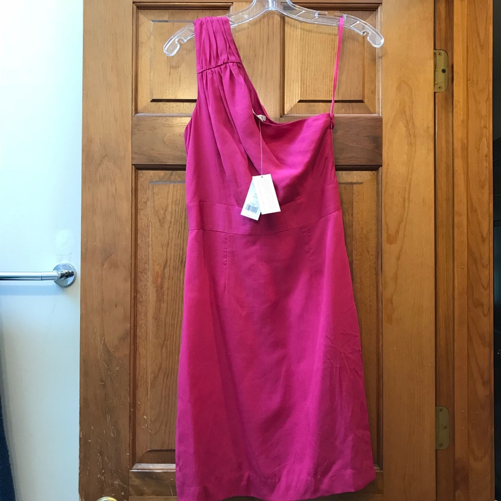 Banana Republic Fuschia One Shoulder Dress
